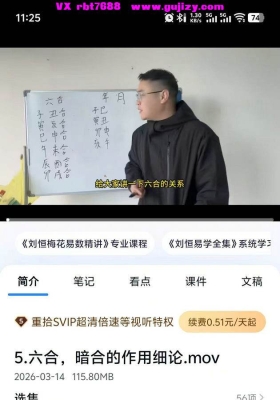 杨炎八字最新盲派八字收徒班《四柱八字》教学视频56集💰5