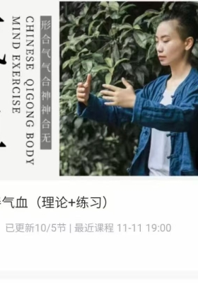 【气血】施莹·深入改善气血「理论+练习」10集视频💰5