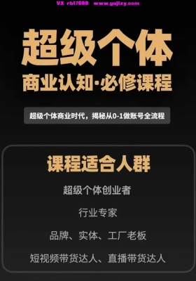 2025年超级个体商业认知觉醒视频课➕️超级个体闭门直播视频回放15集视频课💰5