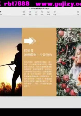 安妮老师《人类图赚钱密技》教学视频18集💰5