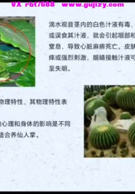 王九智《吕氏时空人自然环境学》教学视频23集💰5