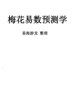 易海游龙 梅花易数预测学￥5