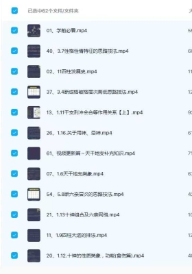 孙乘易四柱实战教学62集 ￥5