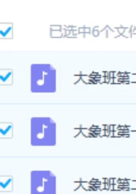 杨国正2025年大象班6集音频课💰5