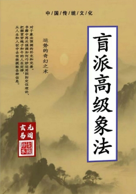 《盲派高级象法》象法大成精华版💰5