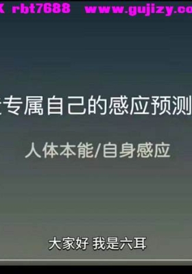《打造专属自己的感应预测系统》11集💰5