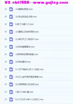 丁老师奇门五期23集视频+六期25集视频合集💰5