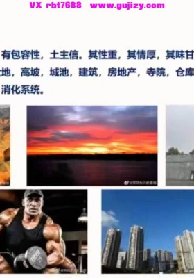 照明居士《人与时空学高级班》四柱八字教学视频24集💰5