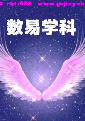 童楚涵数字易学～了解你的天赋潜能，发展等数易实战营12集视频课💰5