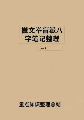 崔文举盲派八字笔记整理第一册￥5