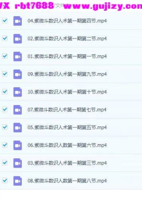 知易而行 东篱老师  紫微斗数识人术一二三期合集 29集视频课💰5
