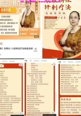 卢军荣 六经辨证针刺疗法高级班（视频课程）原价3800💰5