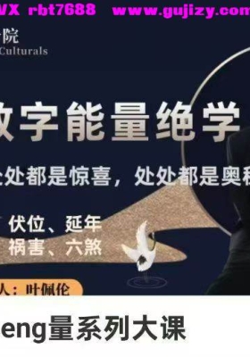 【数字能量】八星数字能量系列大课21集视频课💰5