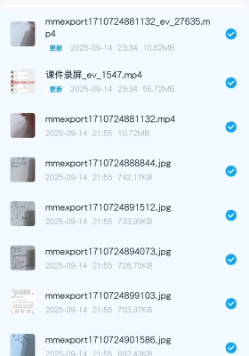 高翔阴宅珍珠法 视频➕文档💰5