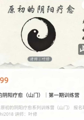 【关系疗愈】叶修原初的阴阳疗愈(山门)|第一期训练营视频课 合集带课件💰5