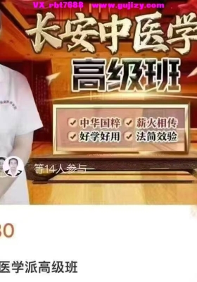 李小红皮内针疗法教程和长安中医学派精品班网课，针灸视频自学课视频合集💰5