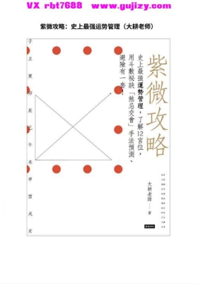 紫微攻略：史上最强运势管理（大耕老师）💰5