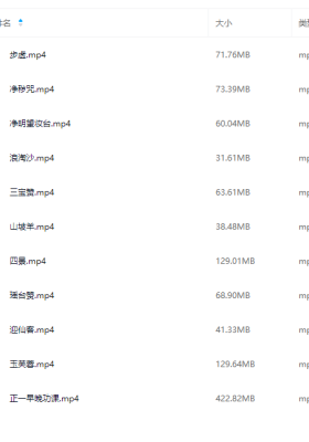 正一科仪视频合集💰5