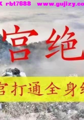 回春—九宫绝学十三节 视频课💰5