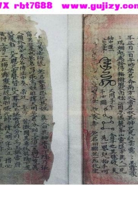 《梅仙根基实录》💰5