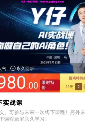 Y仔ai线下实战课15集视频💰5