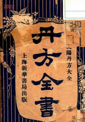 《丹方全书》丹方一千种💰5