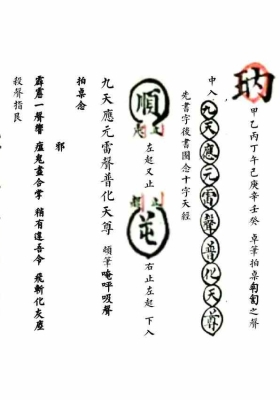 《九天至秘乌梅至宝》💰5