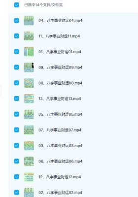 韦杰耀盲派八字命理基础入门8集+八字命理事业财运14集视频合集💰5