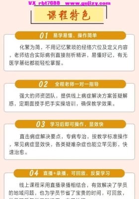 中医专业提升课120集视频课💰5