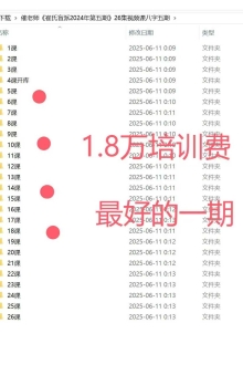 《崔氏盲派2024年第五期》26集视课频‬八字五期最新资料￥10