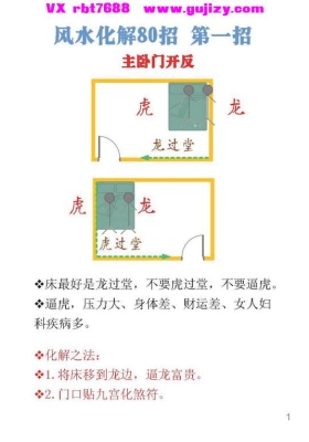 《风水化解80招》💰5
