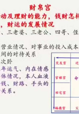 明馨【紫微斗数实战]视频35集💰5
