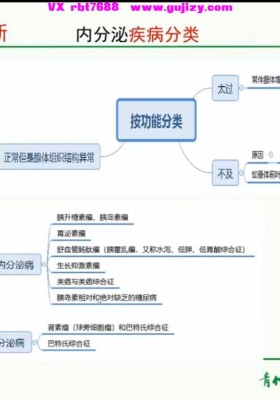 经方内分泌科肥胖甲状腺类中医视频全套合集零基础入门到精通学习13集视频💰5