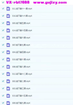 吕老师 财富流年婚姻密码【三天两夜】 线下班16视频课💰5