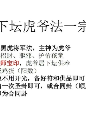 黑虎将军法《下坛虎爷法一宗手抄本修正版》￥5