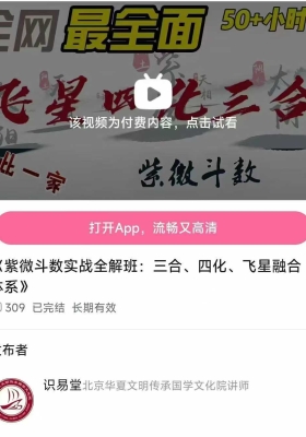 紫微斗数实战全解班:三合、四化、飞星融合体系25集 视频课 💰5