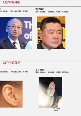 面相学细微对比图示💰5