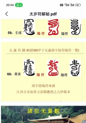 《六十甲子太岁符解秘》💰5