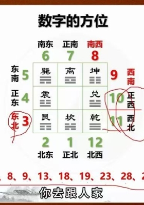 杨振炜《姓名学实战营》20集视频约8小时💰5