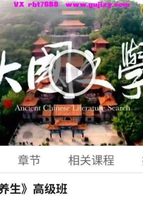 《易筋经养生》高级班 三集视频课💰5