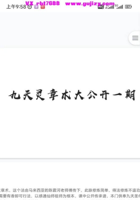 九天灵章术大公开一期.pdf 12页 仅法本💰5
