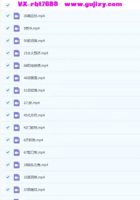 董先生 阳宅外部形峦口铁‬直断  68集视频课 💰5