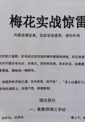 顶级实战的梅花《梅花实战惊雷》高清版💰8