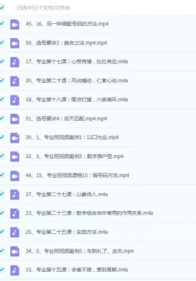 了凡《九宫八星外应象法专业》视频+音频53集💰5