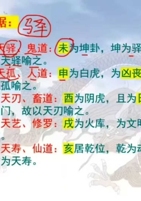 杨昀燊《达摩一掌经》教学视频7集￥5