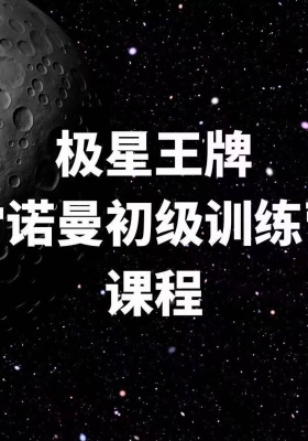 《2021极星王牌雷诺曼初阶课程线上训练营10天》💰5