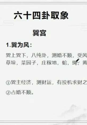 洛洛《六爻像法课》31集视频💰5