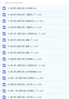 李双林算乎团队 研修班第四届-张念-紫微斗数20集视频💰5