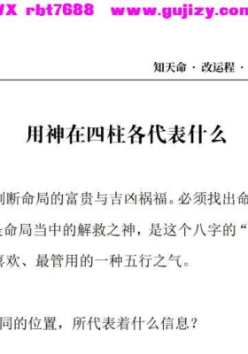 《用神在四柱各代表什么.pdf》
