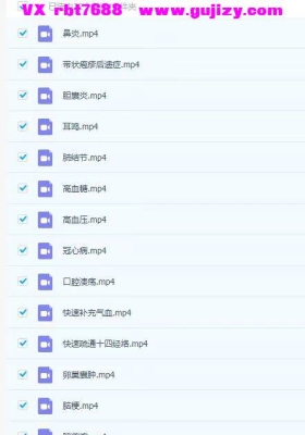 梁振华道家气血平衡术四套视频合集💰5
